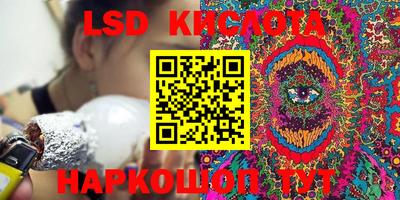 ПСИЛОЦИБИНОВЫЕ ГРИБЫ Кулебаки