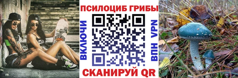 Галлюциногенные грибы Cubensis  OMG как зайти  Железноводск 