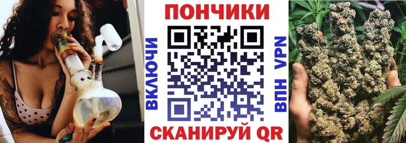 где купить наркоту  Железноводск  Бошки Шишки ГИДРОПОН 